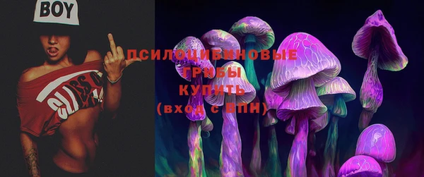 шишки Вязники