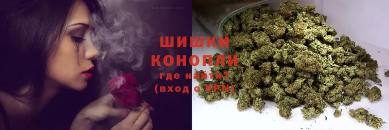 Каннабис SATIVA & INDICA  Красный Кут 